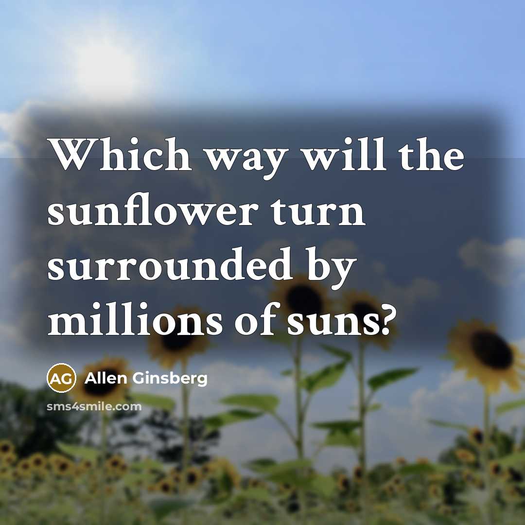“Which way will the sunflower turn surrounded by millions of suns?” quote by Allen Ginsberg