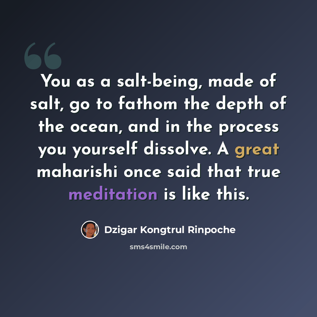 “You as a salt-being, made of salt, go to fathom the depth of the ocean, and in the process you yourself dissolve. A great maharishi once said that true meditation is like this.” quote by Dzigar Kongtrul Rinpoche
