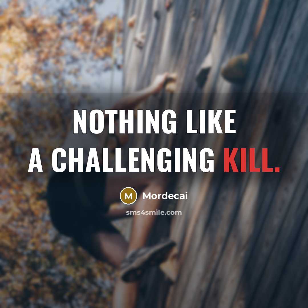 “Nothing like a challenging kill.” quote by Mordecai