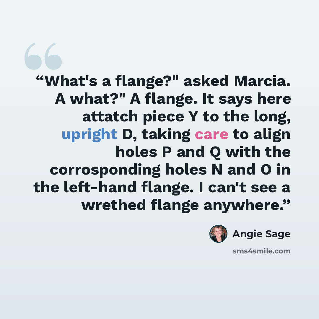 “What's a flange?" asked Marcia. A what?" A flange. It says here attatch piece Y to the long, upright D, taking care to align holes P and Q with the corrosponding holes N and O in the left-hand flange. I can't see a wrethed flange anywhere.” quote by Angie Sage