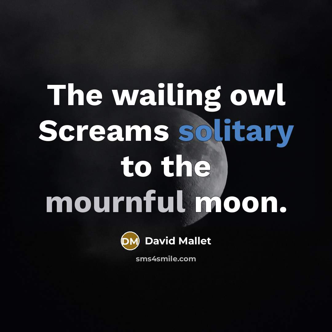 “The wailing owl Screams solitary to the mournful moon.” quote by David Mallet