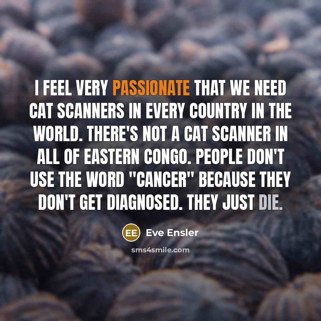 “I feel very passionate that we need CAT scanners in every country in the world. There's not a CAT scanner in all of eastern Congo. People don't use the word "cancer" because they don't get diagnosed. They just die.” quote by Eve Ensler