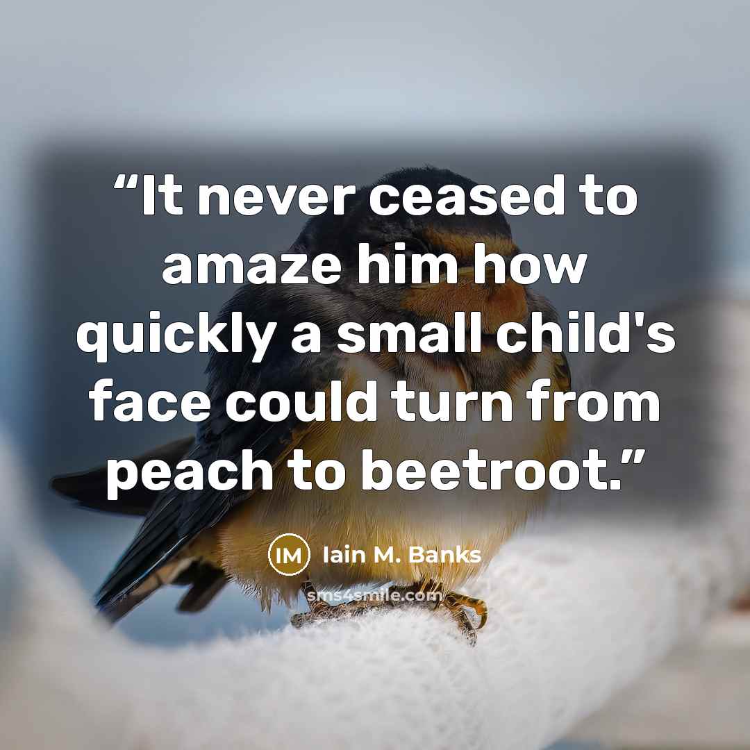 “It never ceased to amaze him how quickly a small child's face could turn from peach to beetroot.” quote by Iain M. Banks