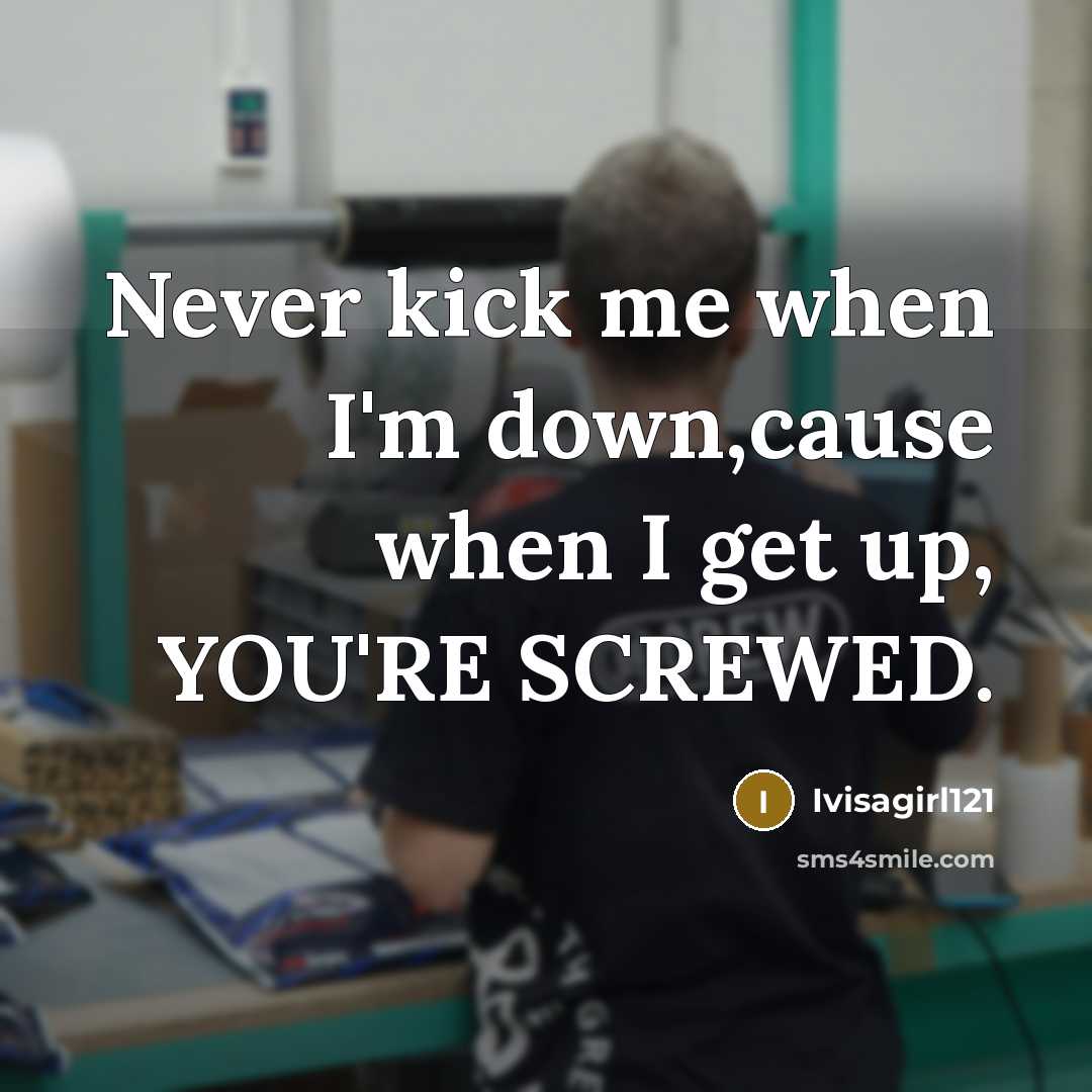 “Never kick me when I'm down,cause when I get up, YOU'RE SCREWED.” quote by Ivisagirl121