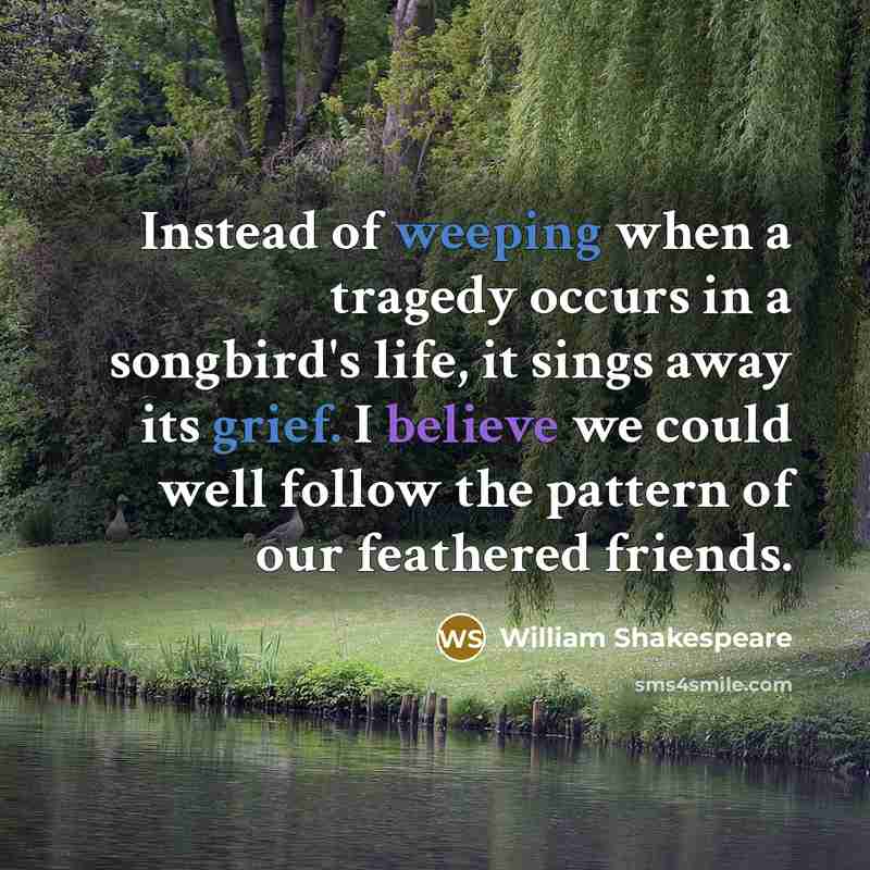 “Instead of weeping when a tragedy occurs in a songbird's life, it sings away its grief. I believe we could well follow the pattern of our feathered friends.” quote by William Shakespeare