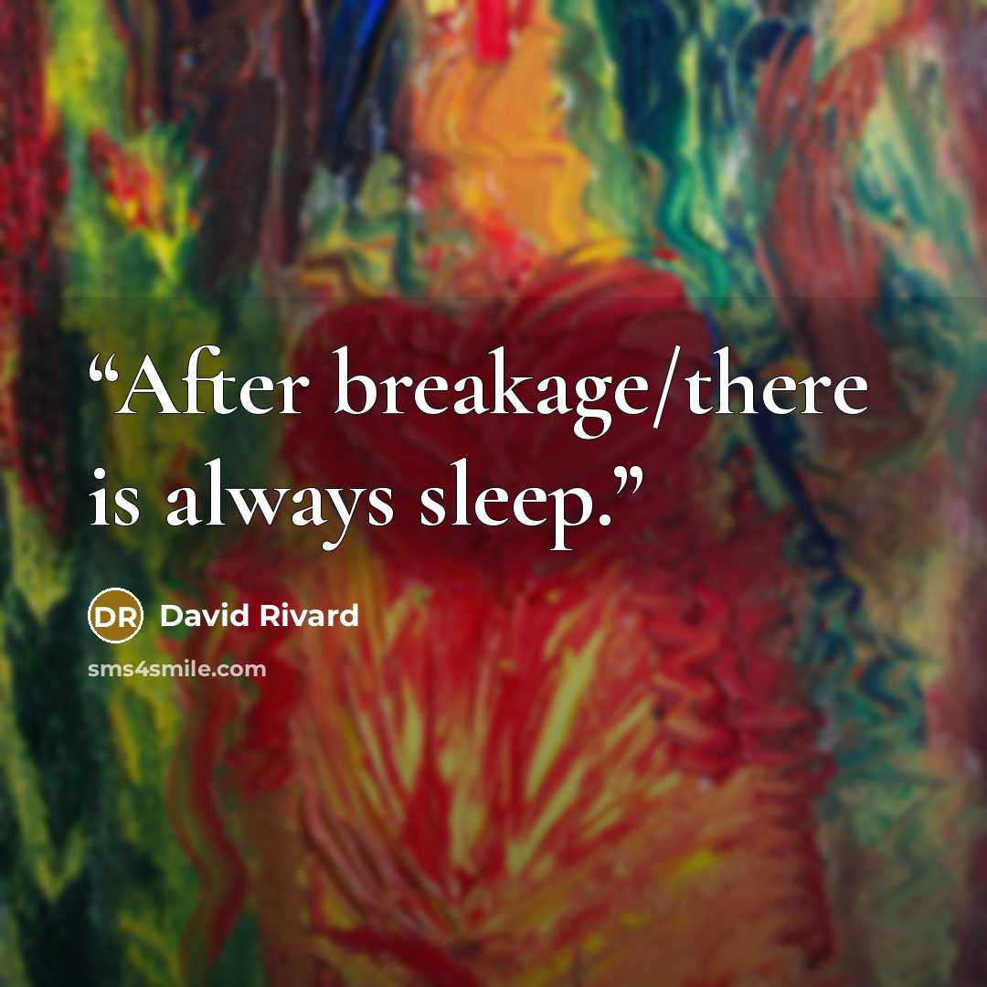 “After breakage/there is always sleep.” quote by David Rivard