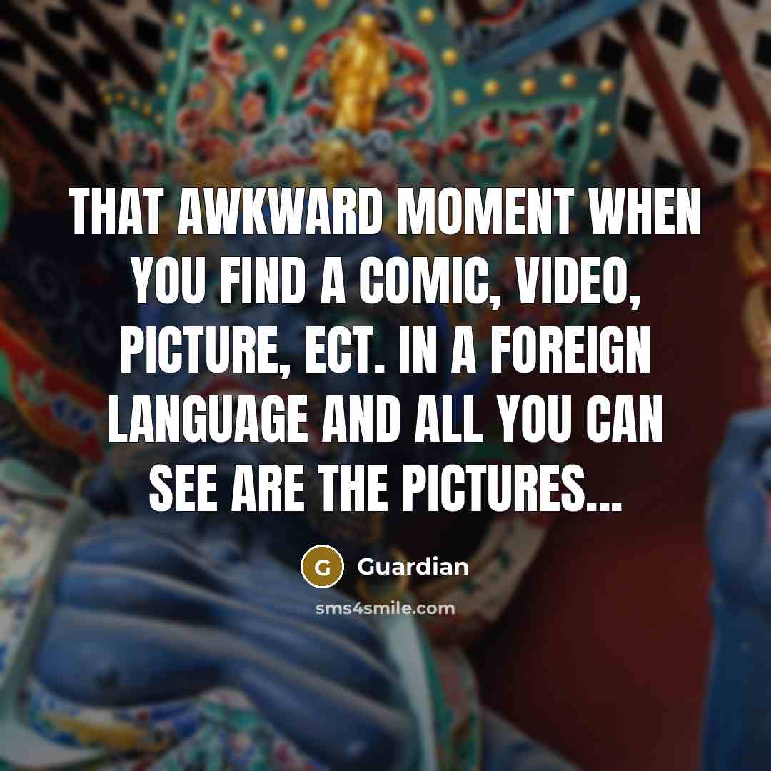 “That awkward moment when you find a comic, video, picture, ect. in a foreign language and all you can see are the pictures...” quote by Guardian