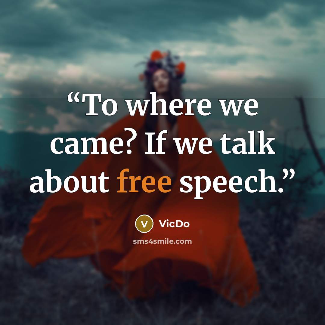 “To where we came? If we talk about free speech.” quote by VicDo