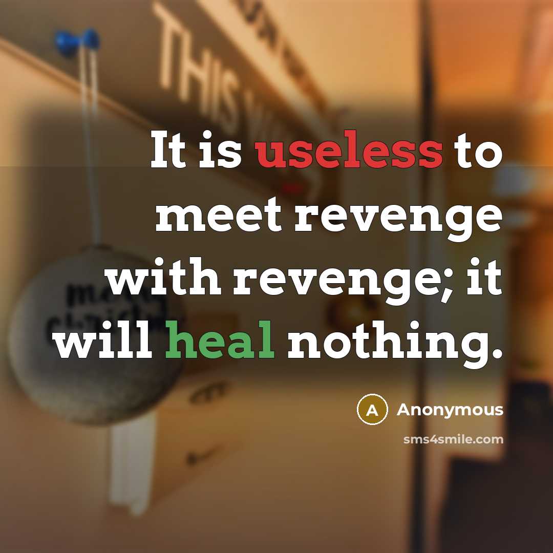 “It is useless to meet revenge with revenge; it will heal nothing.” quote by Anonymous