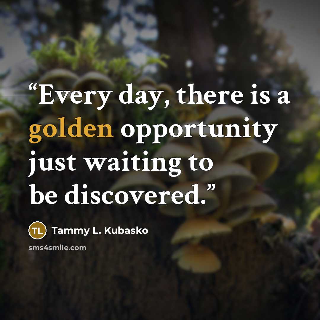 “Every day, there is a golden opportunity just waiting to be discovered.” quote by Tammy L. Kubasko