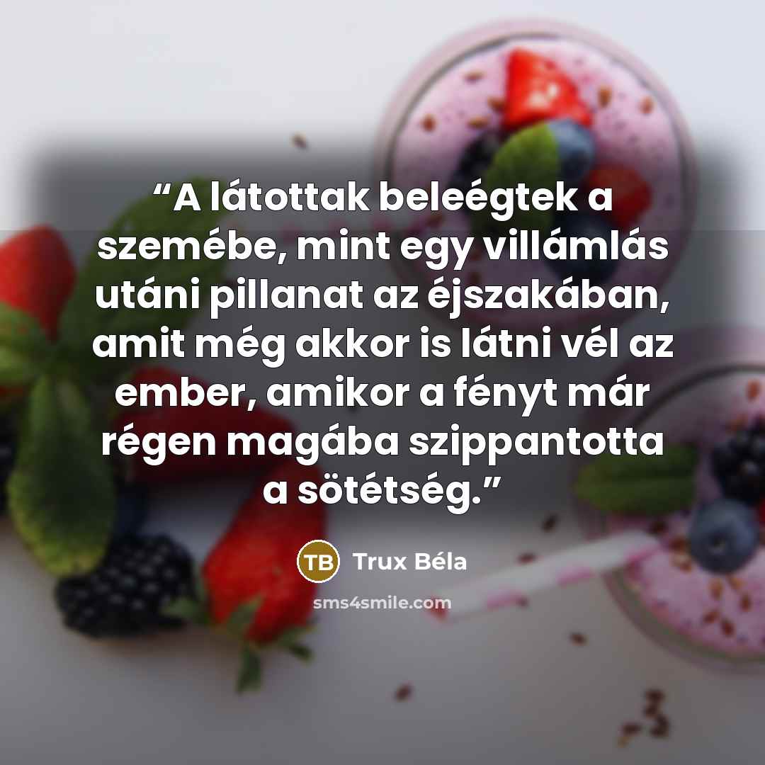 “A látottak beleégtek a szemébe, mint egy villámlás utáni pillanat az éjszakában, amit még akkor is látni vél az ember, amikor a fényt már régen magába szippantotta a sötétség.” quote by Trux Béla