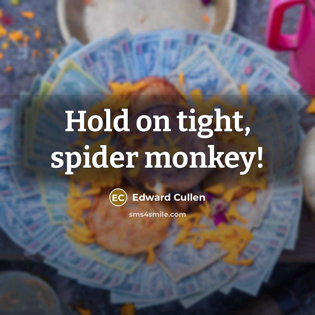 “Hold on tight, spider monkey!” quote by Edward Cullen