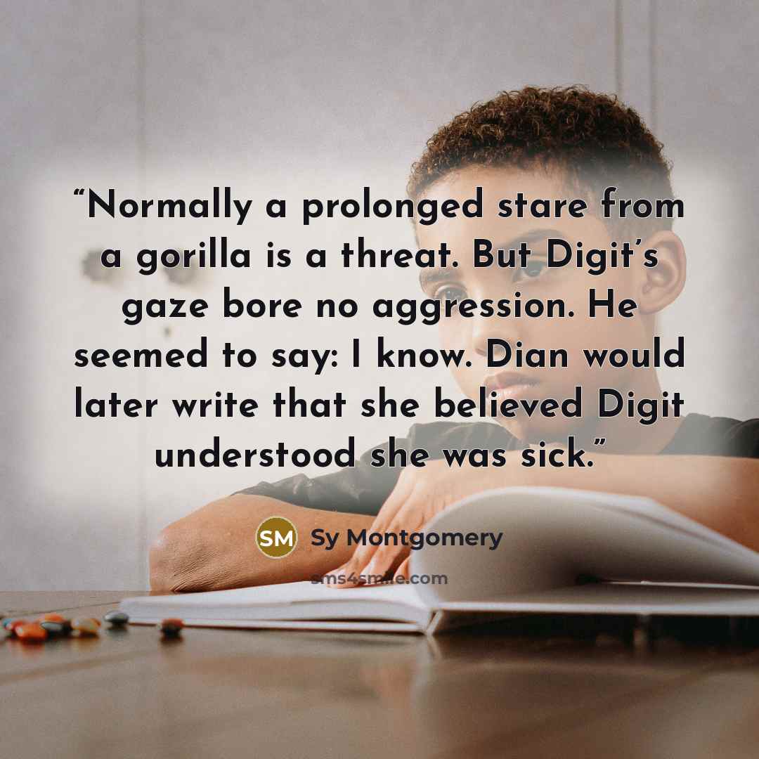 “Normally a prolonged stare from a gorilla is a threat. But Digit’s gaze bore no aggression. He seemed to say: I know. Dian would later write that she believed Digit understood she was sick.” quote by Sy Montgomery