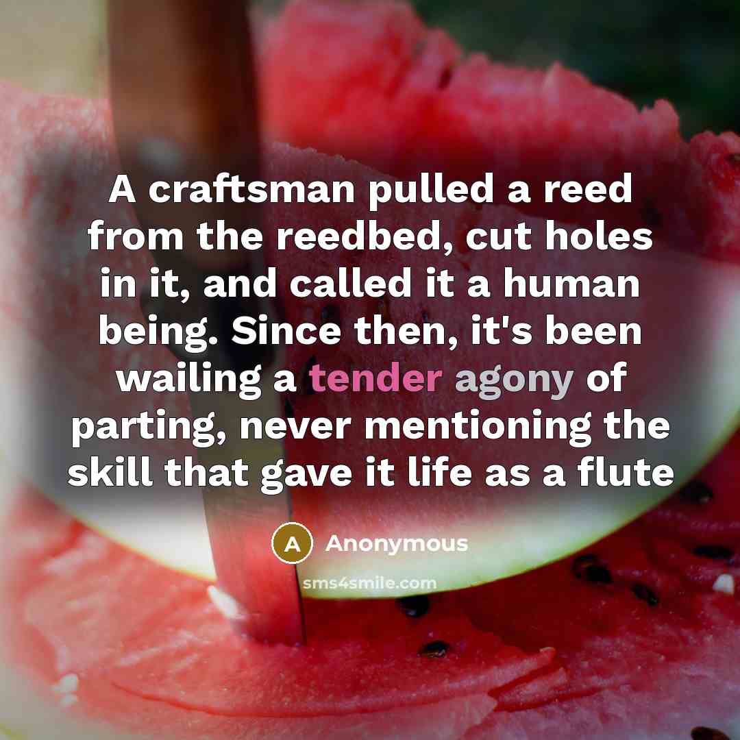 “A craftsman pulled a reed from the reedbed, cut holes in it, and called it a human being. Since then, it's been wailing a tender agony of parting, never mentioning the skill that gave it life as a flute” quote by Anonymous