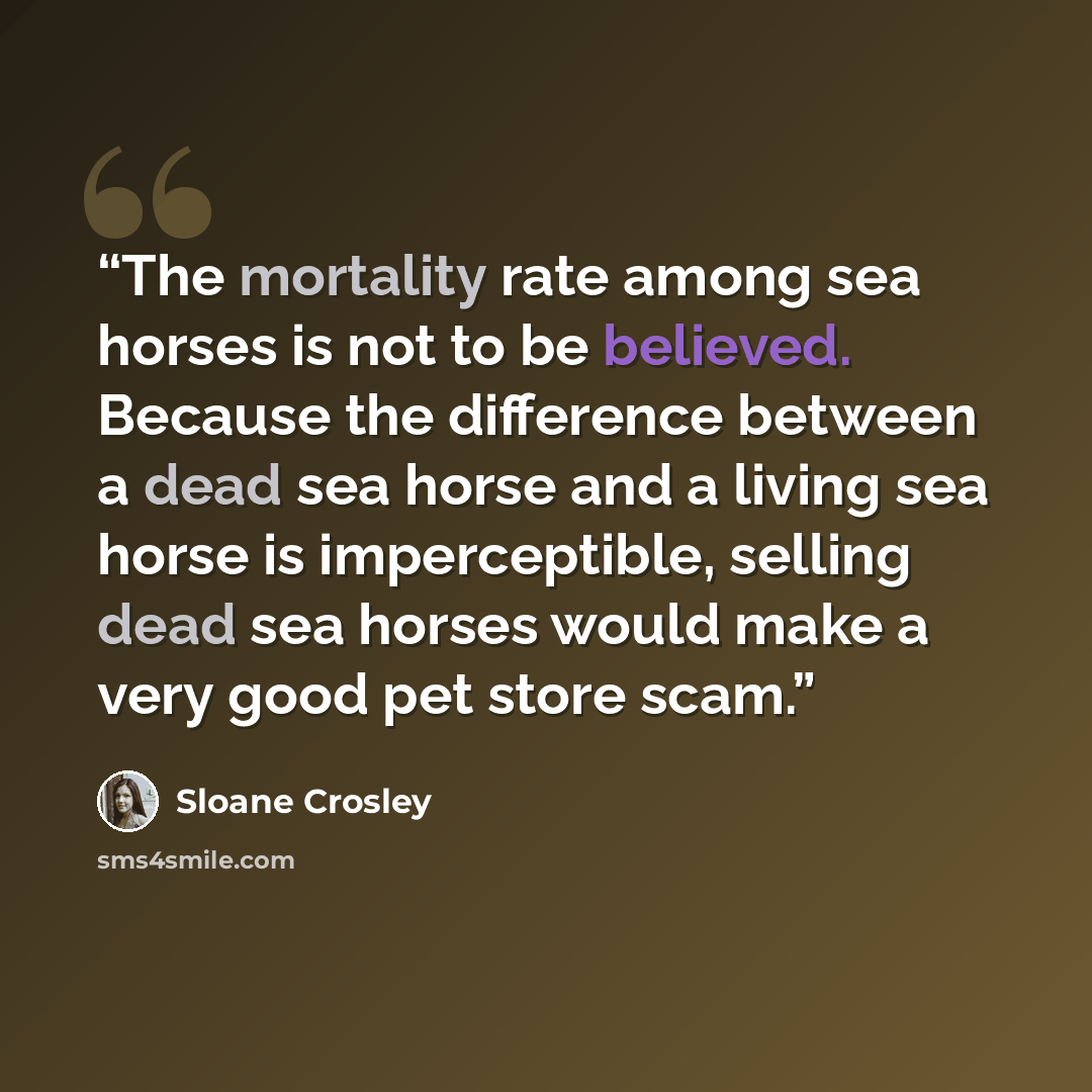 “The mortality rate among sea horses is not to be believed. Because the difference between a dead sea horse and a living sea horse is imperceptible, selling dead sea horses would make a very good pet store scam.” quote by Sloane Crosley