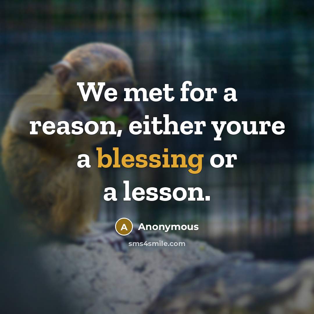 “We met for a reason, either youre a blessing or a lesson.” quote by Anonymous