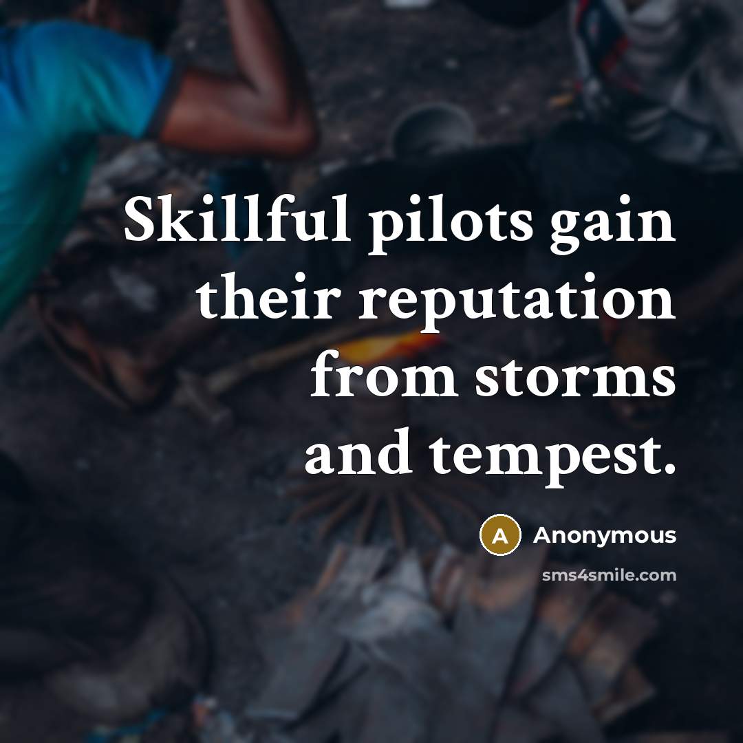 “Skillful pilots gain their reputation from storms and tempest.” quote by Anonymous