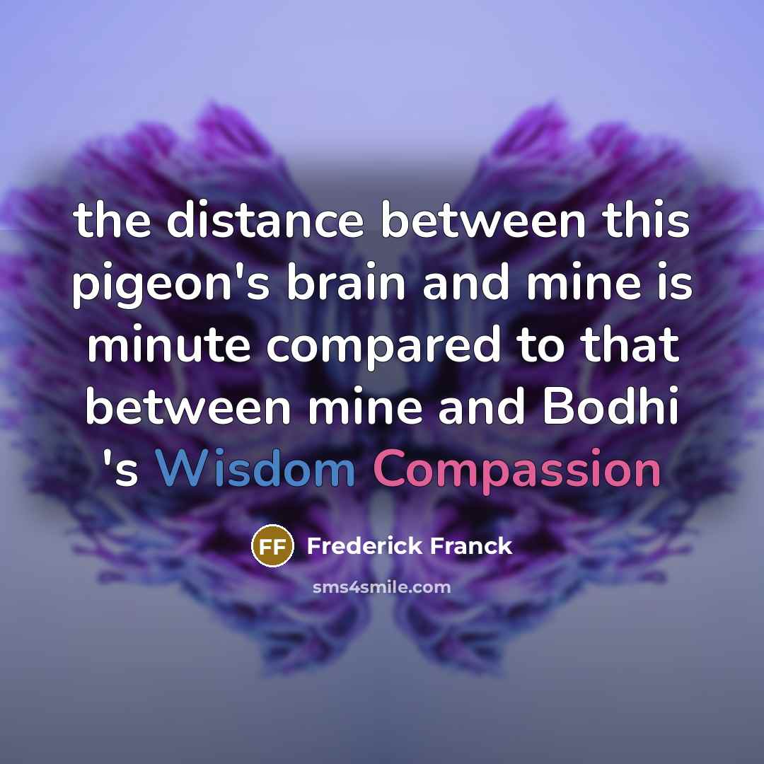 “the distance between this pigeon's brain and mine is minute compared to that between mine and Bodhi 's Wisdom Compassion” quote by Frederick Franck