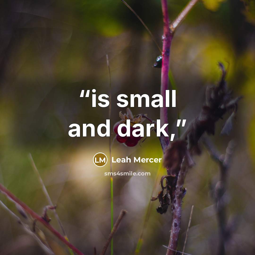 “is small and dark,” quote by Leah Mercer