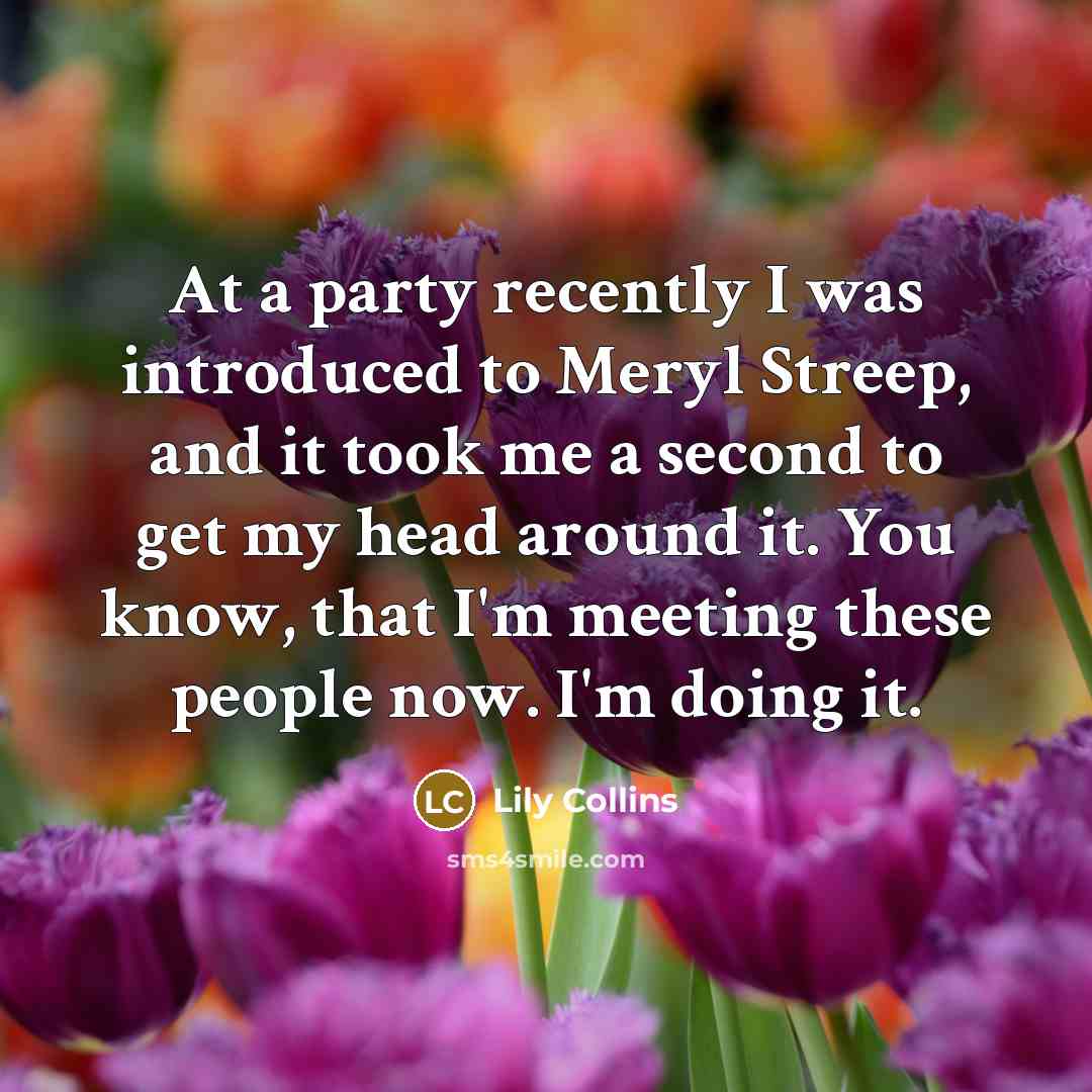 “At a party recently I was introduced to Meryl Streep, and it took me a second to get my head around it. You know, that I'm meeting these people now. I'm doing it.” quote by Lily Collins