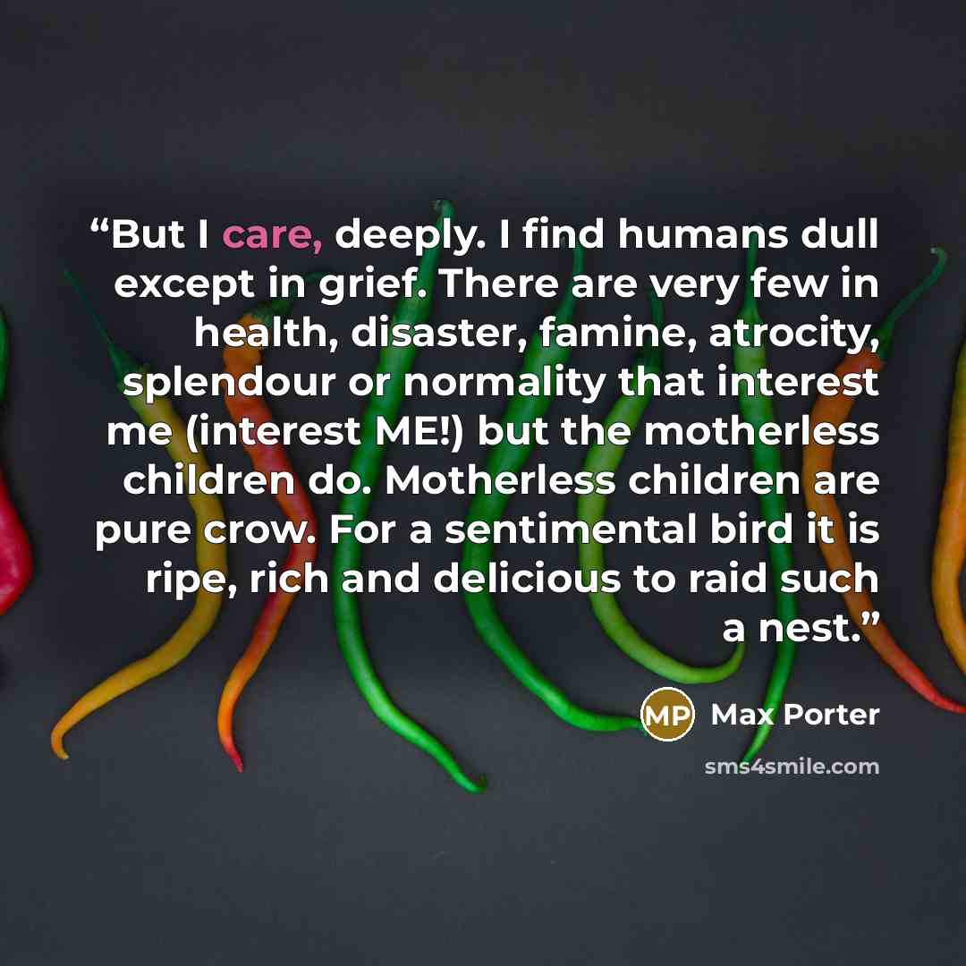 “But I care, deeply. I find humans dull except in grief. There are very few in health, disaster, famine, atrocity, splendour or normality that interest me (interest ME!) but the motherless children do. Motherless children are pure crow. For a sentimental bird it is ripe, rich and delicious to raid…” quote by Max Porter