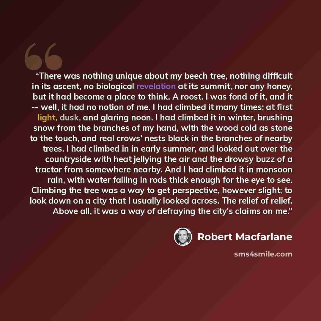“There was nothing unique about my beech tree, nothing difficult in its ascent, no biological revelation at its summit, nor any honey, but it had become a place to think. A roost. I was fond of it, and it -- well, it had no notion of me. I had climbed it many times; at first light, dusk, and…” quote by Robert Macfarlane
