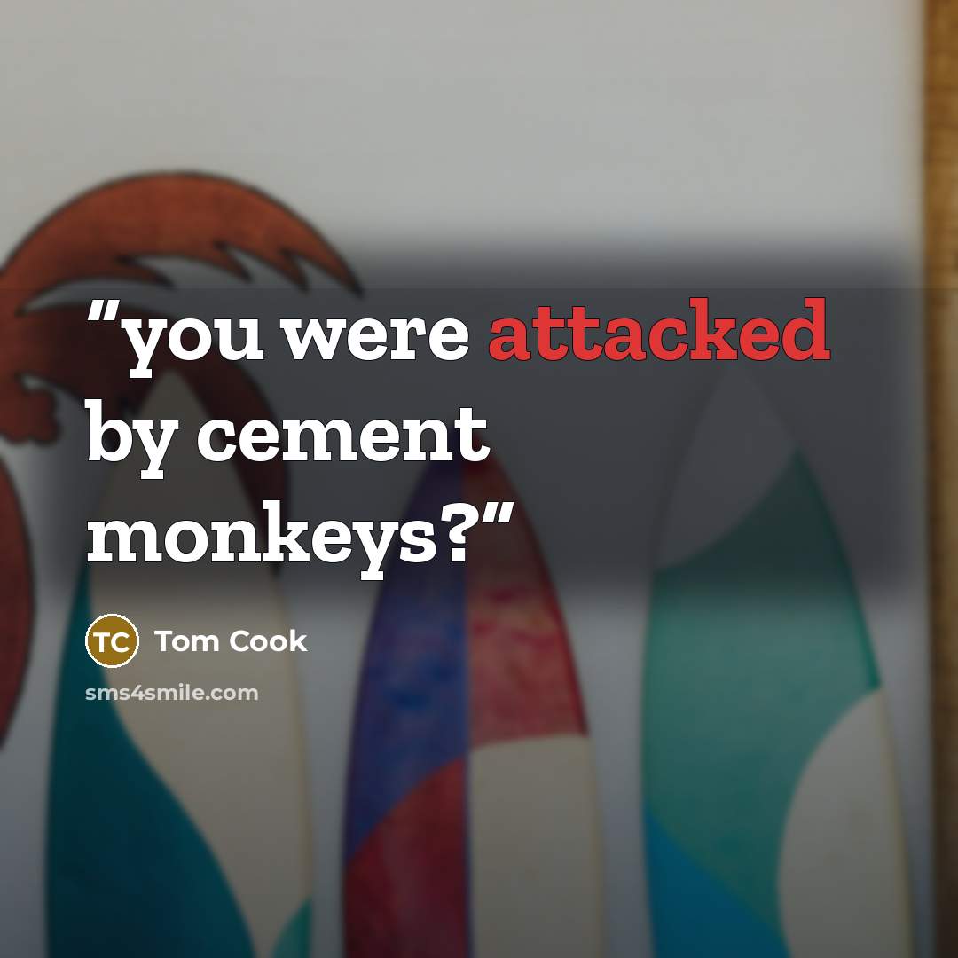 “you were attacked by cement monkeys?” quote by Tom Cook