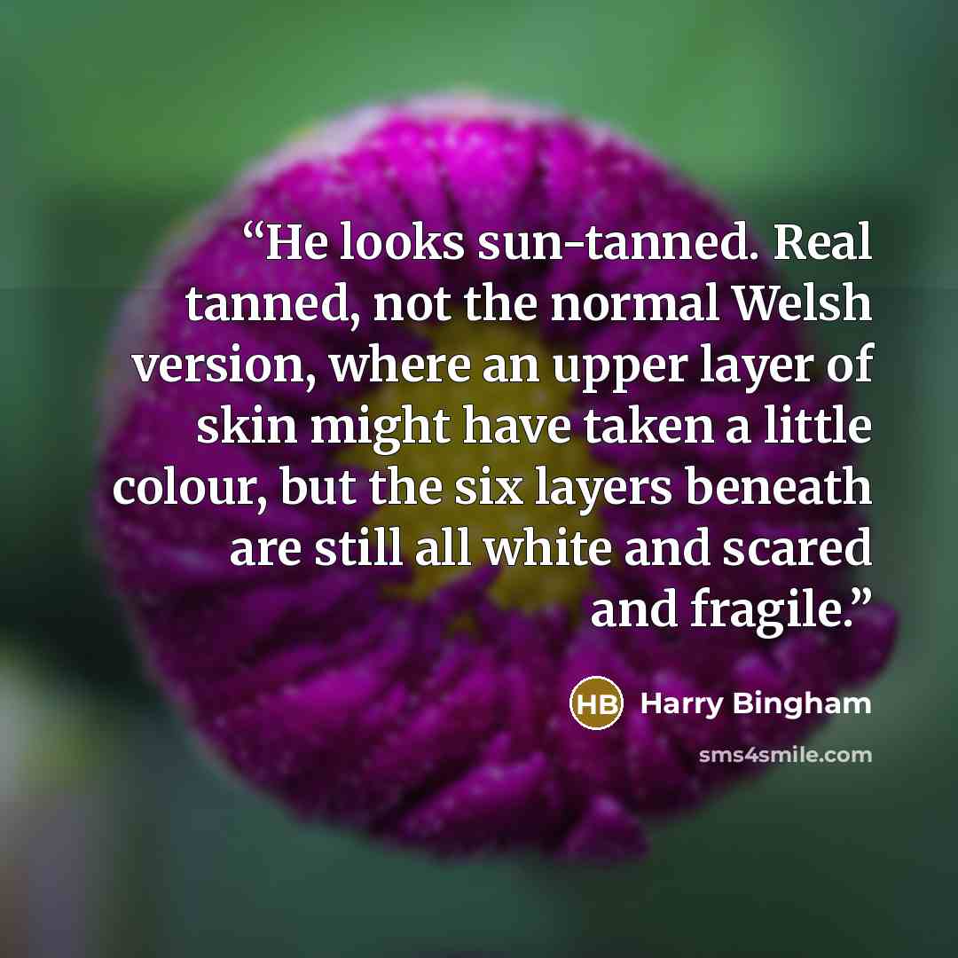 “He looks sun-tanned. Real tanned, not the normal Welsh version, where an upper layer of skin might have taken a little colour, but the six layers beneath are still all white and scared and fragile.” quote by Harry Bingham