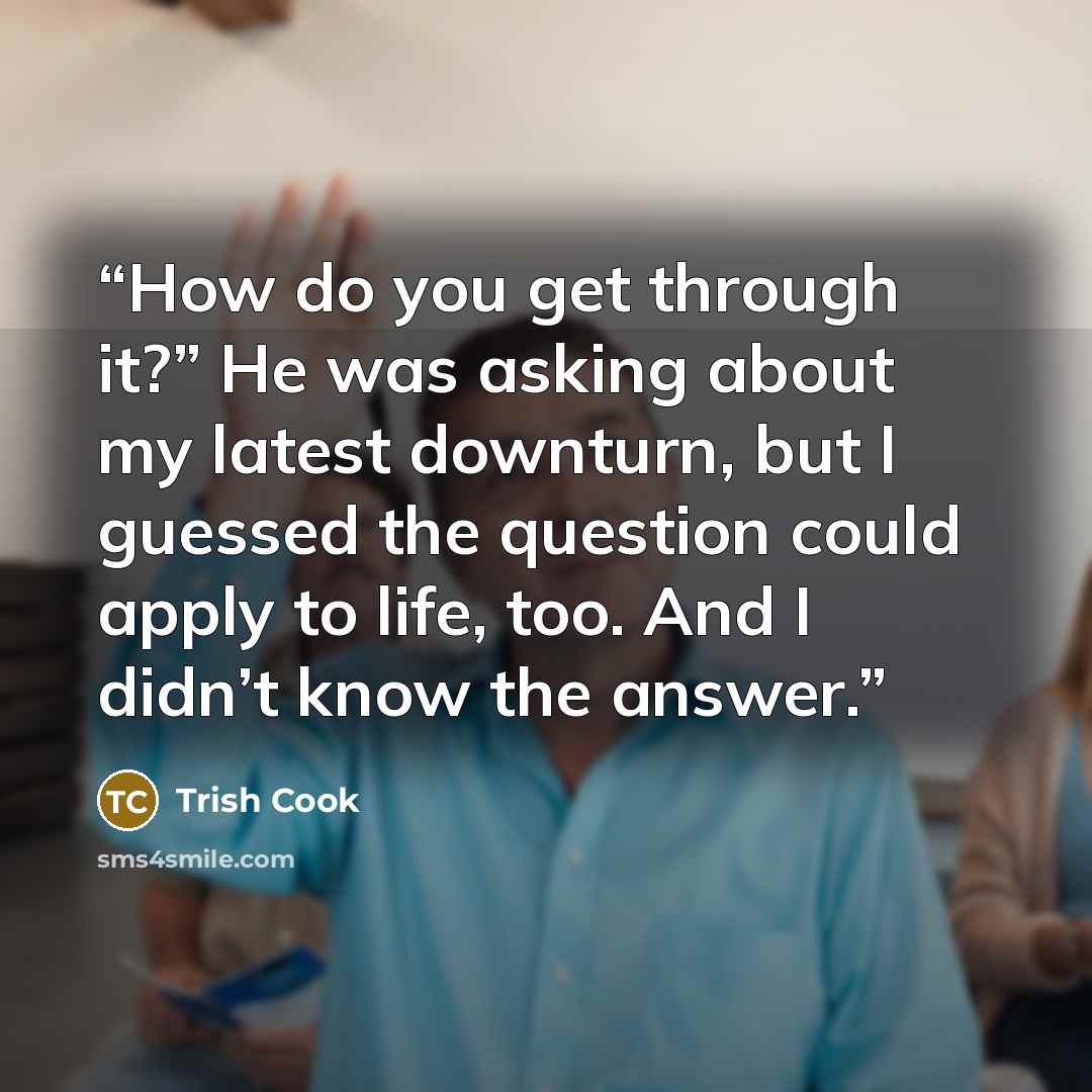 “How do you get through it?” He was asking about my latest downturn, but I guessed the question could apply to life, too. And I didn’t know the answer.” quote by Trish Cook