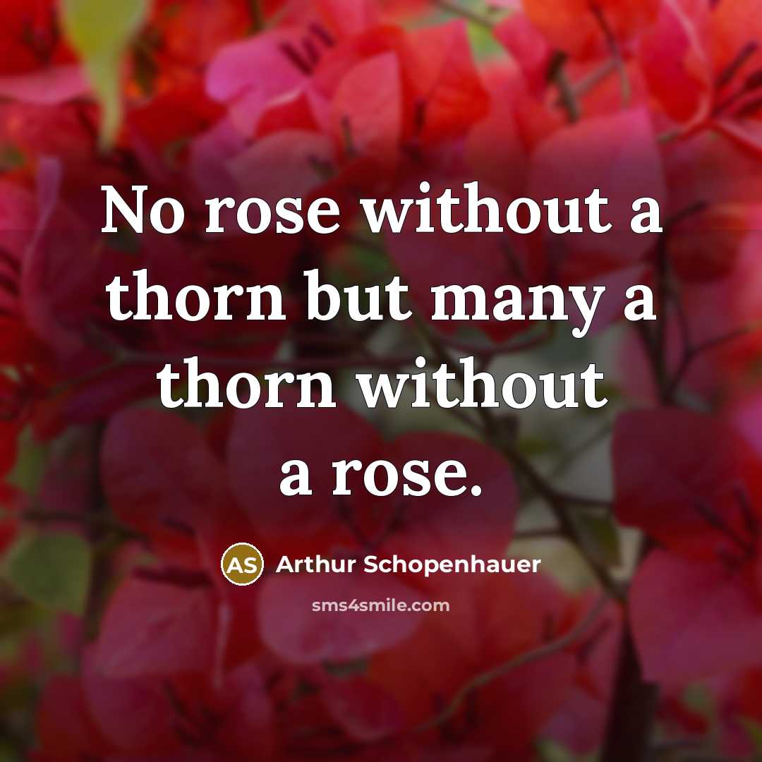 “No rose without a thorn but many a thorn without a rose.” quote by Arthur Schopenhauer
