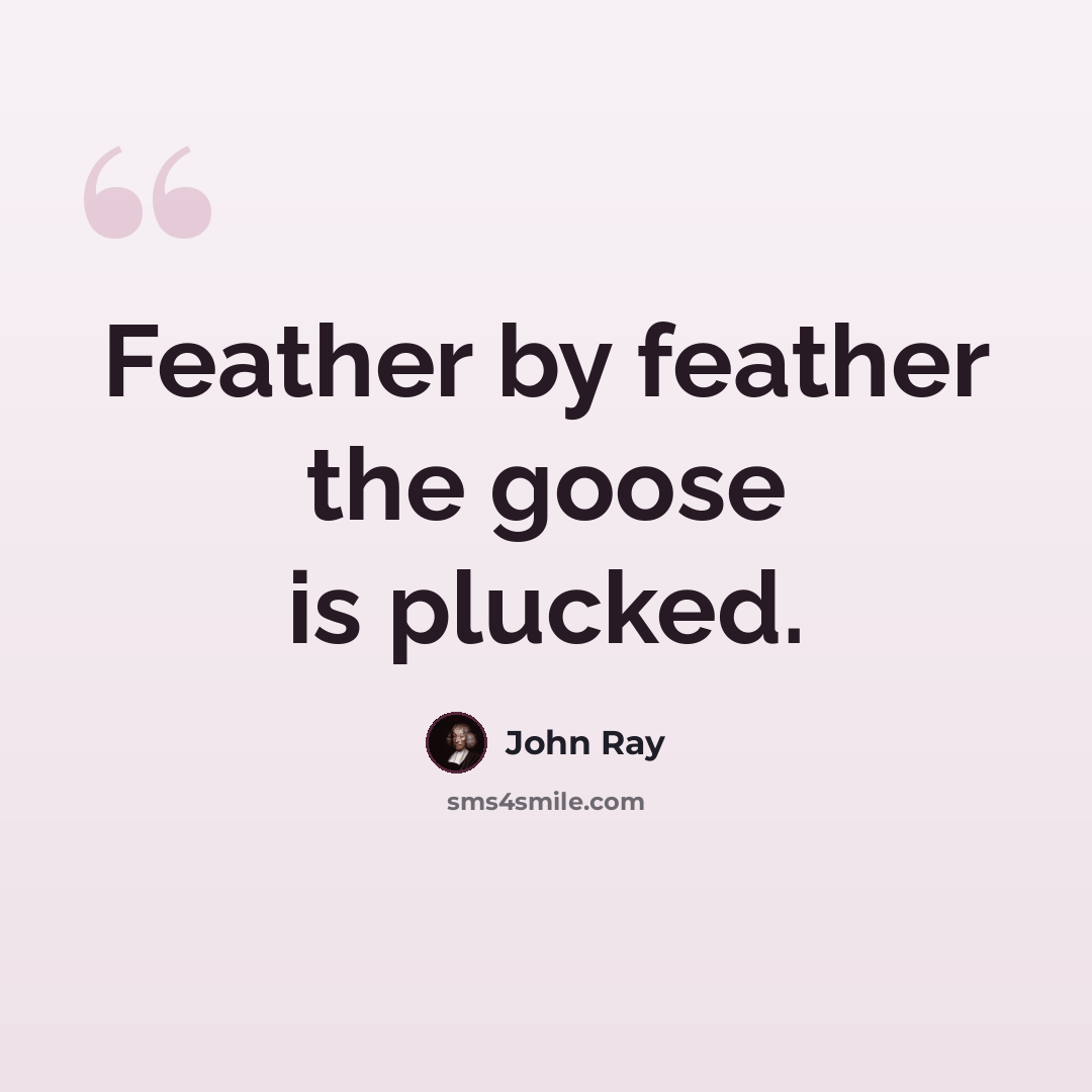 “Feather by feather the goose is plucked.” quote by John Ray