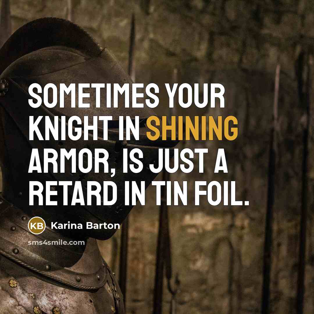 “Sometimes your knight in shining armor, is just a retard in tin foil.” quote by Karina Barton