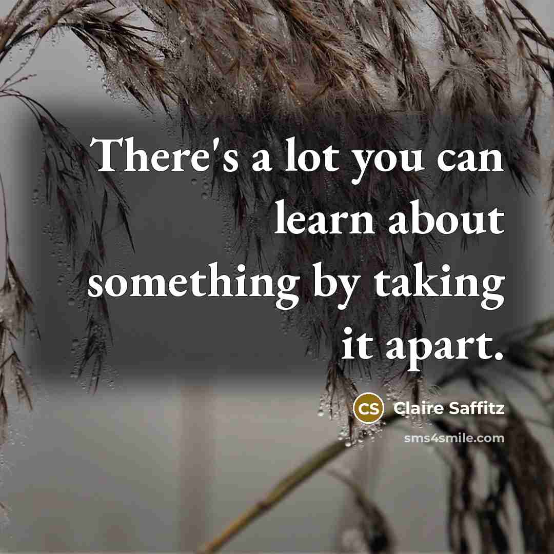“There's a lot you can learn about something by taking it apart.” quote by Claire Saffitz