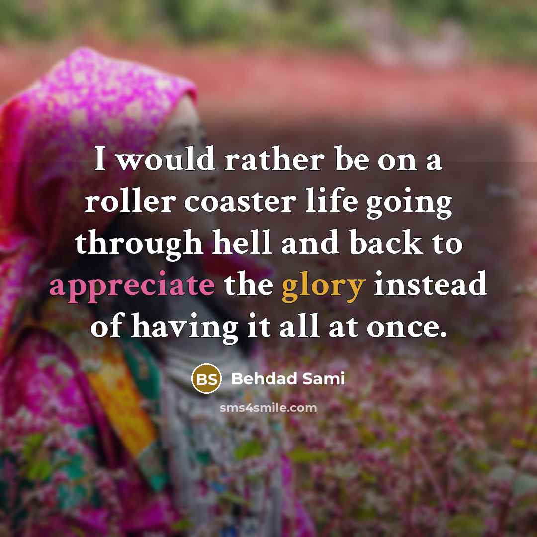 “I would rather be on a roller coaster life going through hell and back to appreciate the glory instead of having it all at once.” quote by Behdad Sami