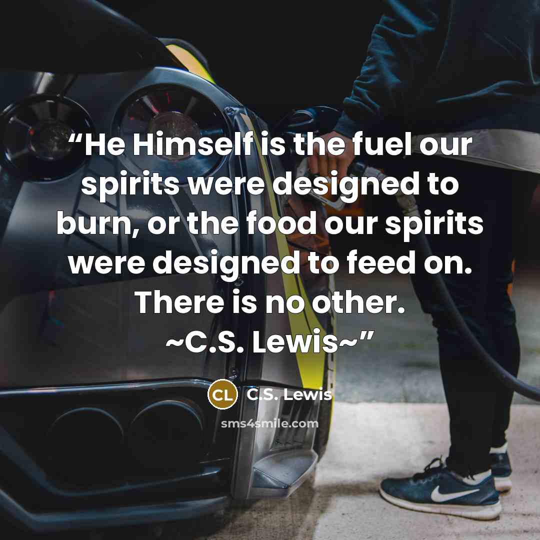 “He Himself is the fuel our spirits were designed to burn, or the food our spirits were designed to feed on. There is no other. ~C.S. Lewis~” quote by C.S. Lewis