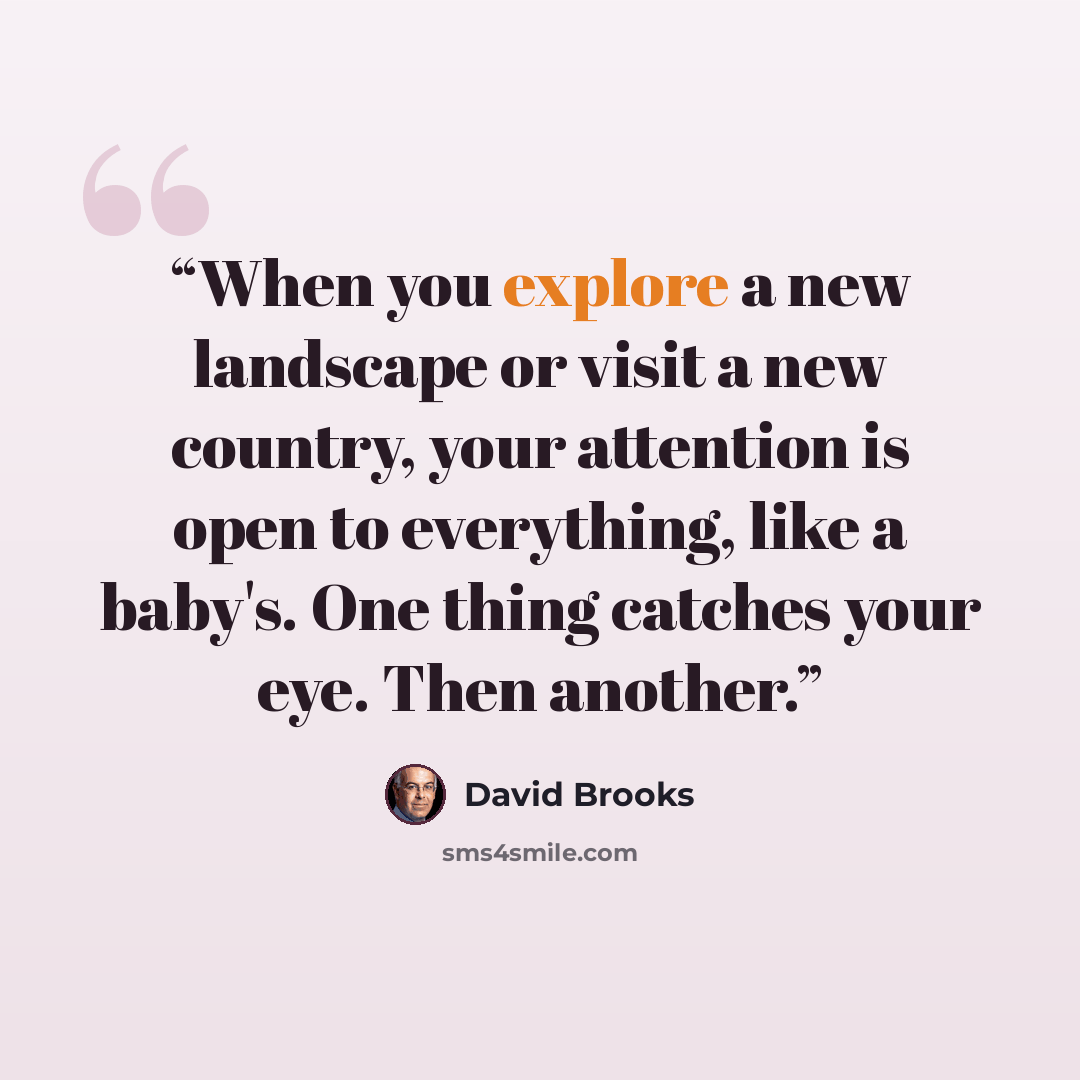 “When you explore a new landscape or visit a new country, your attention is open to everything, like a baby's. One thing catches your eye. Then another.” quote by David Brooks
