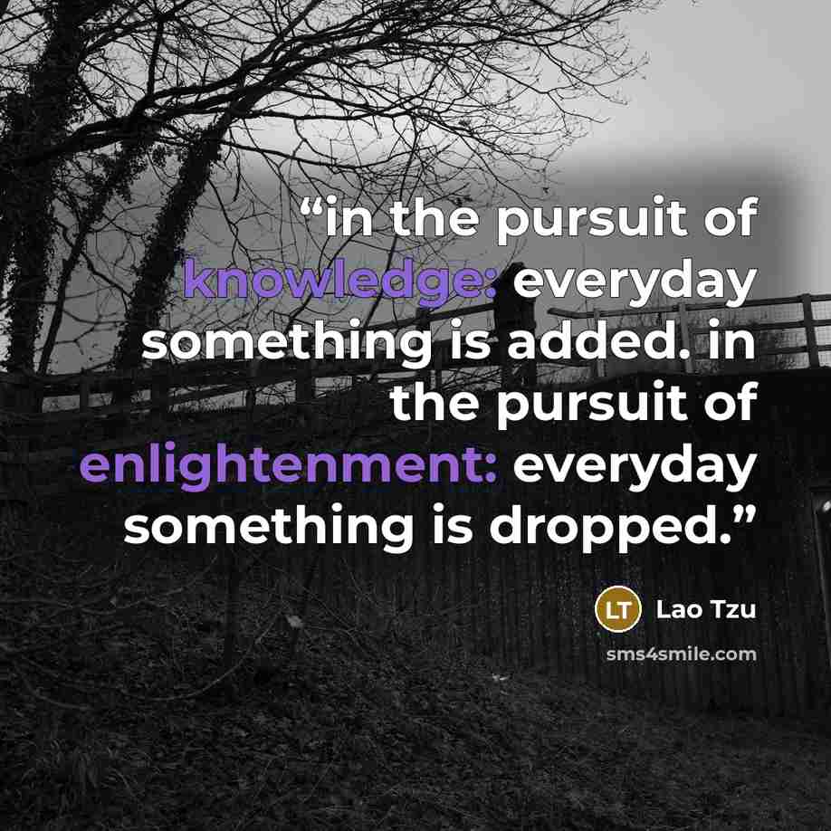“in the pursuit of knowledge: everyday something is added. in the pursuit of enlightenment: everyday something is dropped.” quote by Lao Tzu