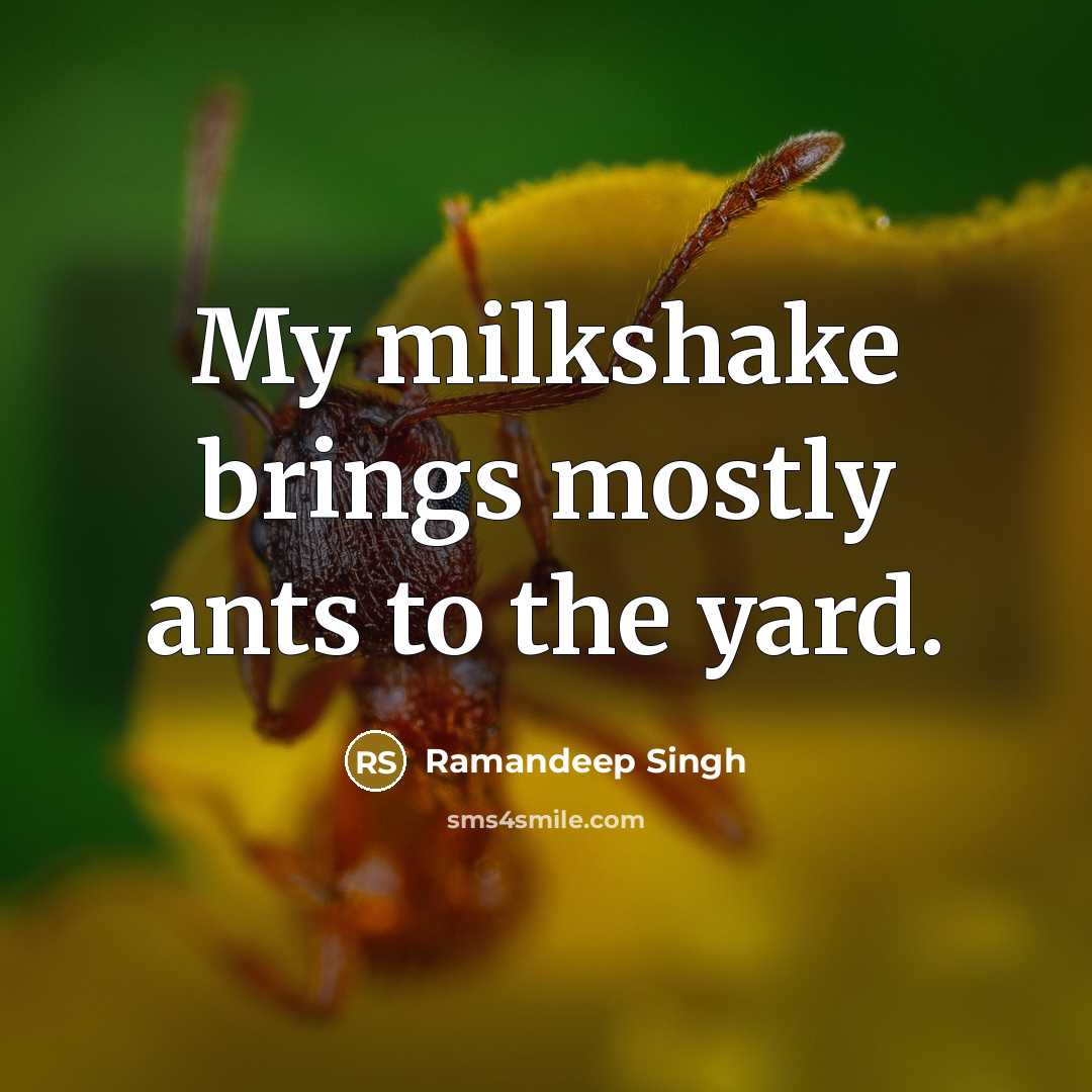 “My milkshake brings mostly ants to the yard.” quote by Ramandeep Singh