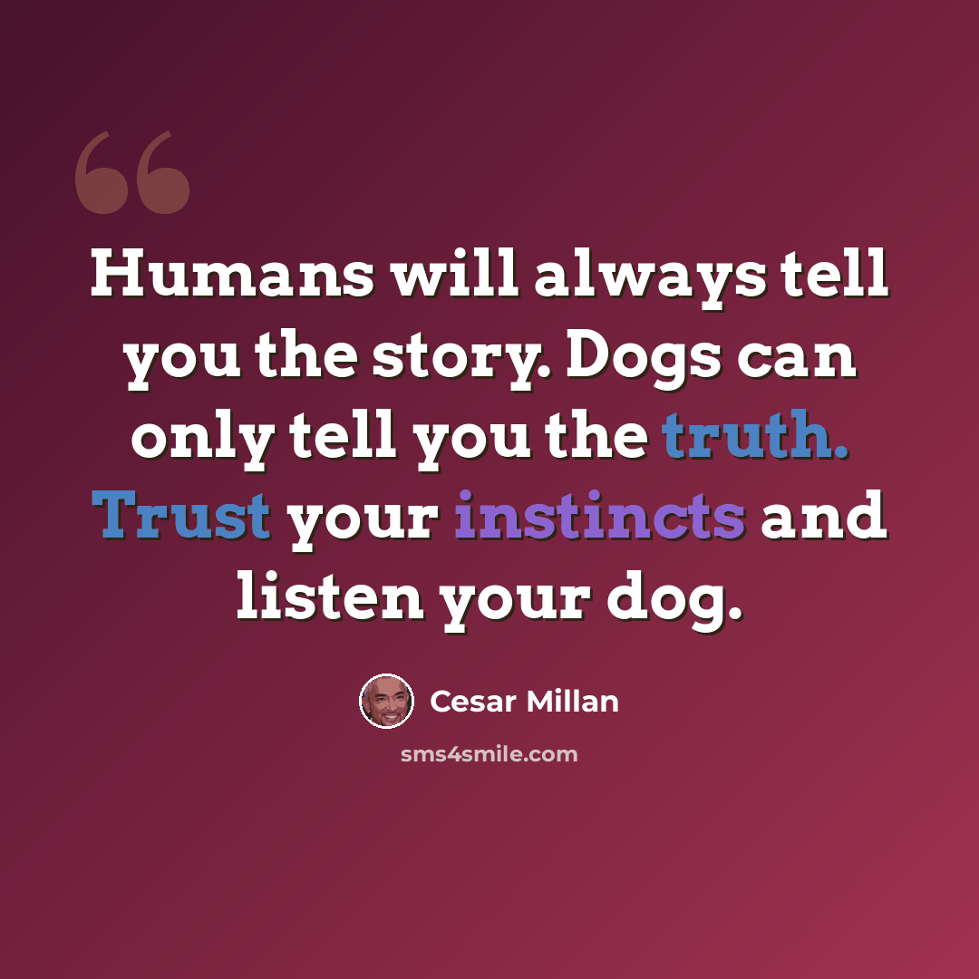 “Humans will always tell you the story. Dogs can only tell you the truth. Trust your instincts and listen your dog.” quote by Cesar Millan