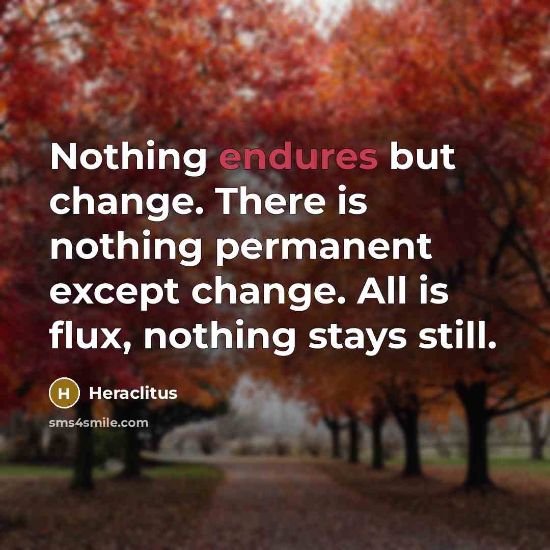 “Nothing endures but change. There is nothing permanent except change. All is flux, nothing stays still.” quote by Heraclitus