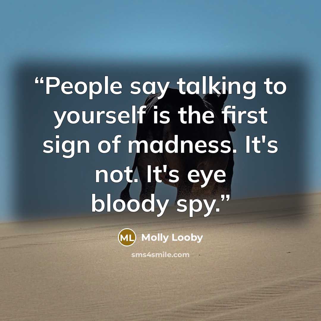 “People say talking to yourself is the first sign of madness. It's not. It's eye bloody spy.” quote by Molly Looby