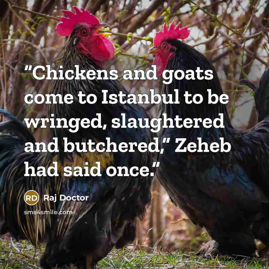 “Chickens and goats come to Istanbul to be wringed, slaughtered and butchered,” Zeheb had said once.” quote by Raj Doctor