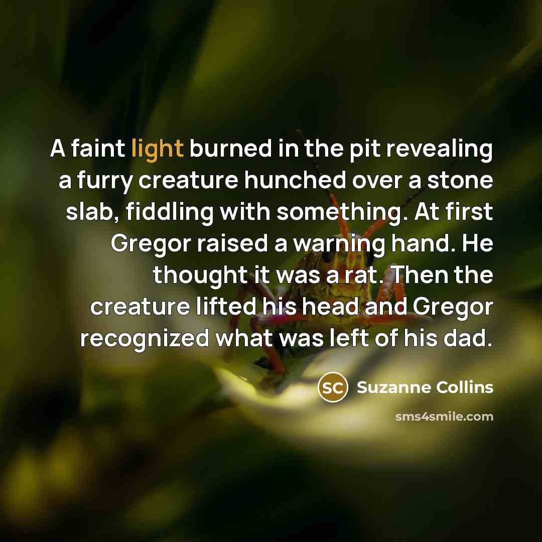 “A faint light burned in the pit revealing a furry creature hunched over a stone slab, fiddling with something. At first Gregor raised a warning hand. He thought it was a rat. Then the creature lifted his head and Gregor recognized what was left of his dad.” quote by Suzanne Collins