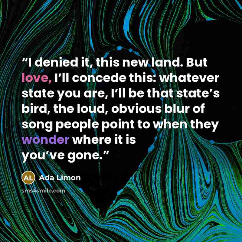 “I denied it, this new land. But love, I’ll concede this: whatever state you are, I’ll be that state’s bird, the loud, obvious blur of song people point to when they wonder where it is you’ve gone.” quote by Ada Limon