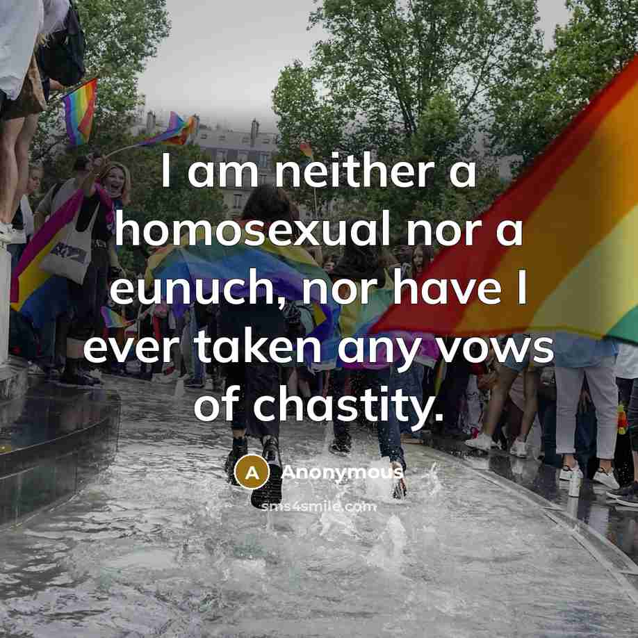 “I am neither a homosexual nor a eunuch, nor have I ever taken any vows of chastity.” quote by Anonymous