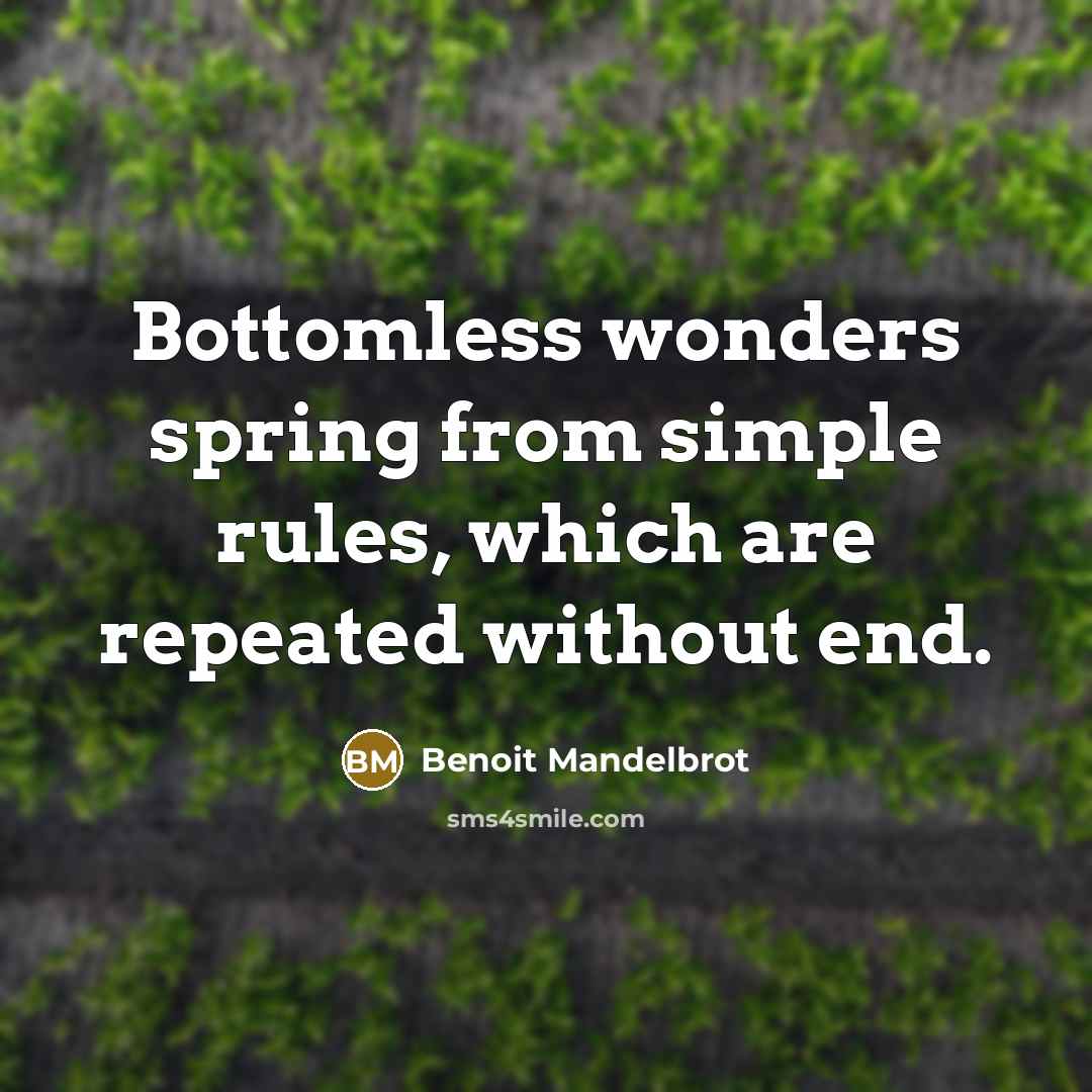 “Bottomless wonders spring from simple rules, which are repeated without end.” quote by Benoit Mandelbrot