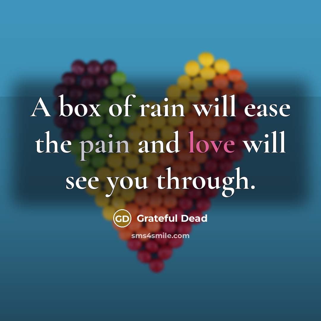“A box of rain will ease the pain and love will see you through.” quote by Grateful Dead