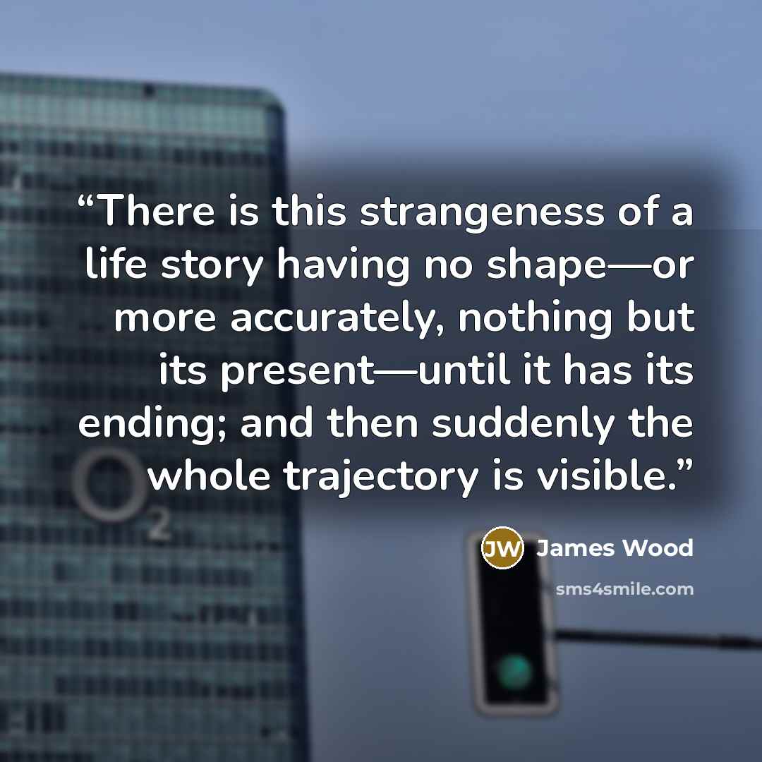 “There is this strangeness of a life story having no shape—or more accurately, nothing but its present—until it has its ending; and then suddenly the whole trajectory is visible.” quote by James Wood