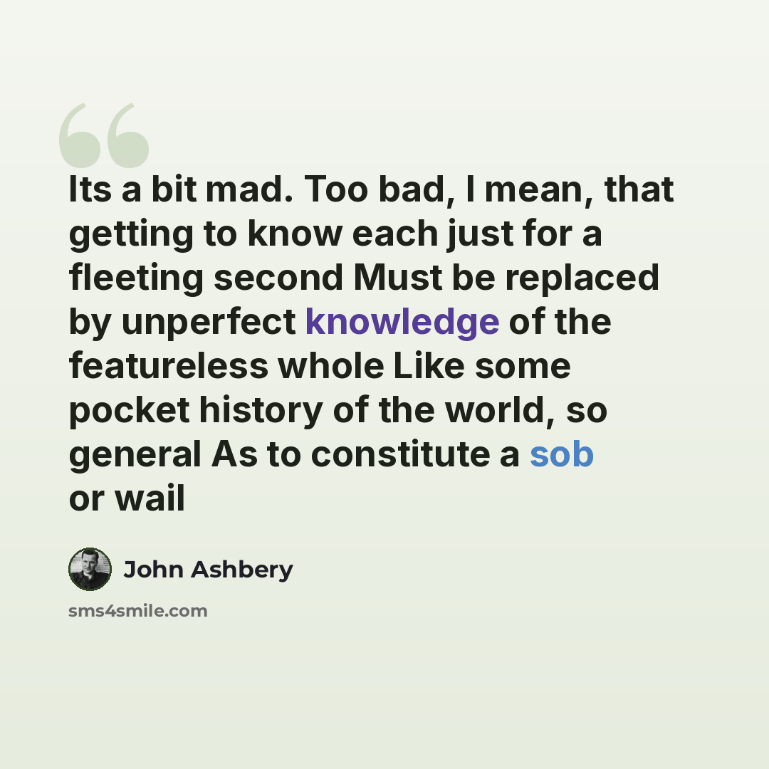 “Its a bit mad. Too bad, I mean, that getting to know each just for a fleeting second Must be replaced by unperfect knowledge of the featureless whole Like some pocket history of the world, so general As to constitute a sob or wail” quote by John Ashbery