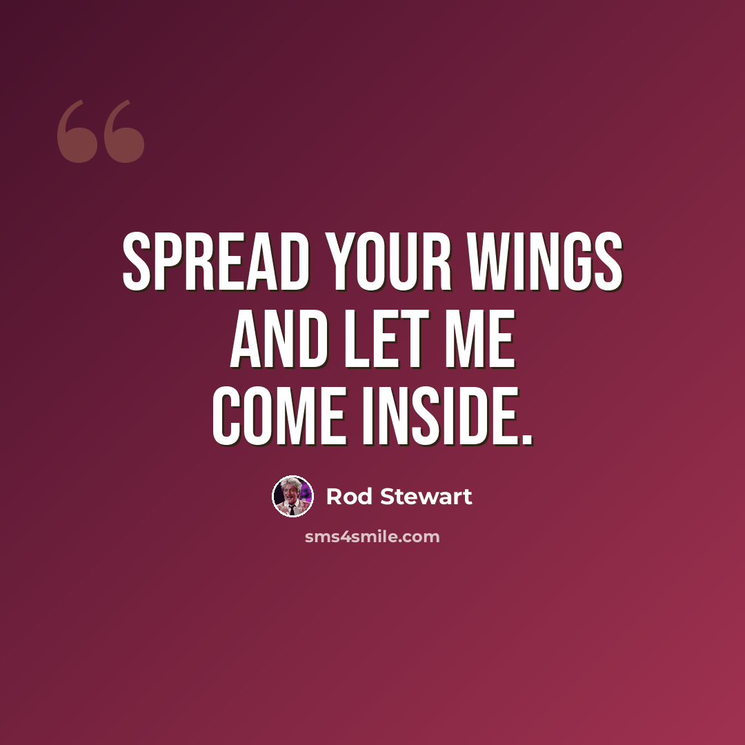 “Spread your wings and let me come inside.” quote by Rod Stewart